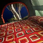 Camping Aquarium